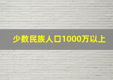 少数民族人口1000万以上