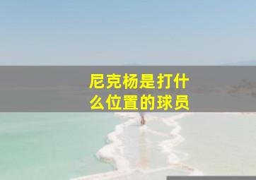 尼克杨是打什么位置的球员