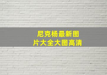 尼克杨最新图片大全大图高清