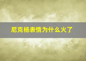 尼克杨表情为什么火了