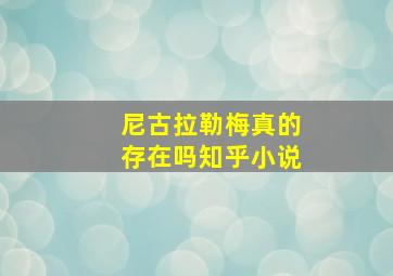 尼古拉勒梅真的存在吗知乎小说