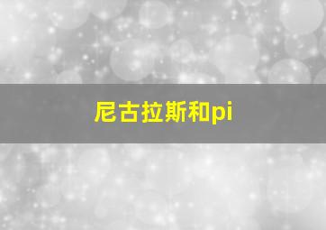 尼古拉斯和pi