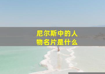 尼尔斯中的人物名片是什么