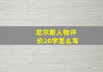 尼尔斯人物评价20字怎么写