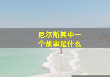 尼尔斯其中一个故事是什么