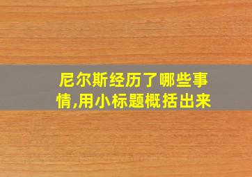 尼尔斯经历了哪些事情,用小标题概括出来