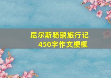 尼尔斯骑鹅旅行记450字作文梗概