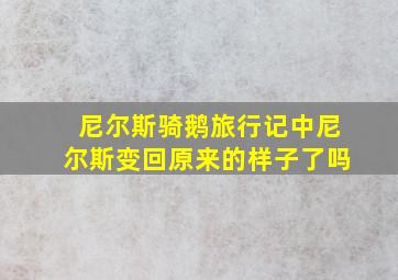 尼尔斯骑鹅旅行记中尼尔斯变回原来的样子了吗