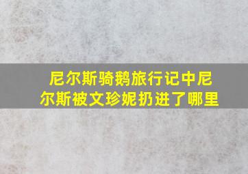 尼尔斯骑鹅旅行记中尼尔斯被文珍妮扔进了哪里