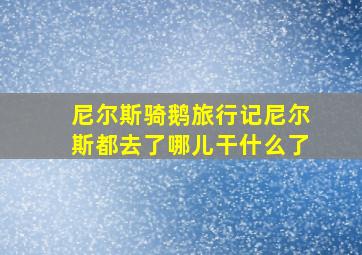 尼尔斯骑鹅旅行记尼尔斯都去了哪儿干什么了