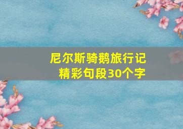 尼尔斯骑鹅旅行记精彩句段30个字