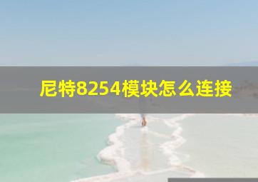 尼特8254模块怎么连接