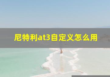 尼特利at3自定义怎么用