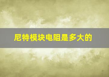 尼特模块电阻是多大的