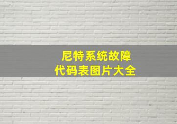 尼特系统故障代码表图片大全