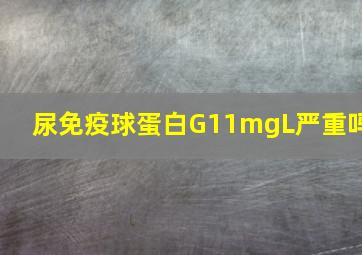 尿免疫球蛋白G11mgL严重吗