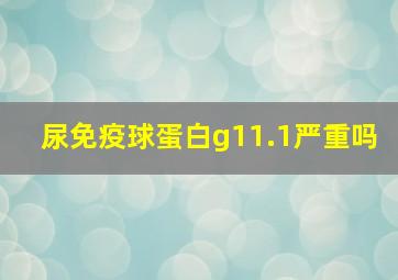 尿免疫球蛋白g11.1严重吗