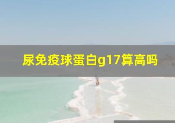 尿免疫球蛋白g17算高吗