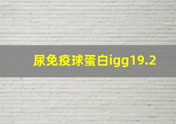 尿免疫球蛋白igg19.2