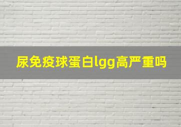 尿免疫球蛋白lgg高严重吗