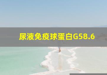 尿液免疫球蛋白G58.6