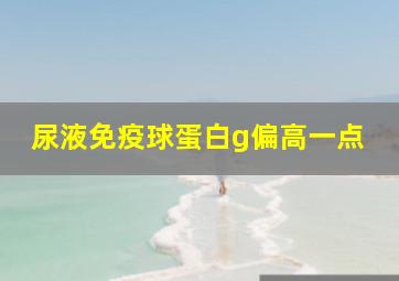 尿液免疫球蛋白g偏高一点