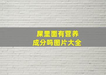 屎里面有营养成分吗图片大全