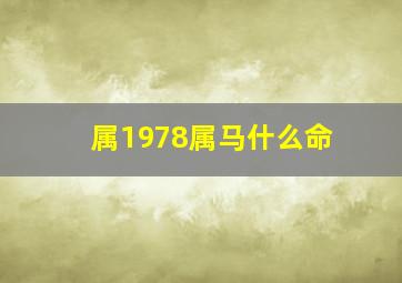 属1978属马什么命