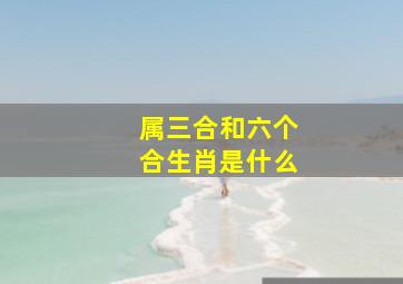 属三合和六个合生肖是什么