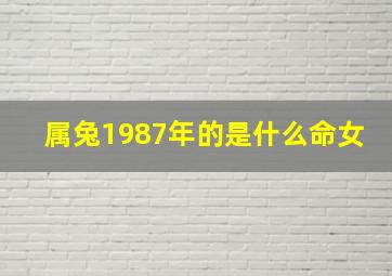 属兔1987年的是什么命女