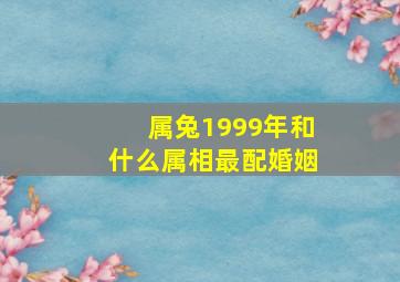 属兔1999年和什么属相最配婚姻