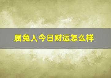 属兔人今日财运怎么样