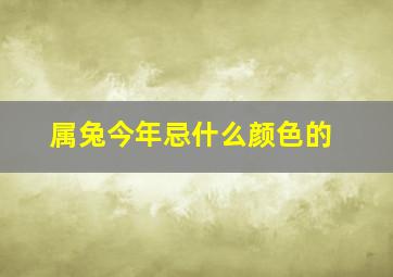 属兔今年忌什么颜色的