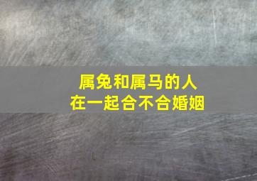 属兔和属马的人在一起合不合婚姻