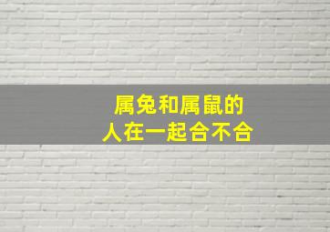 属兔和属鼠的人在一起合不合