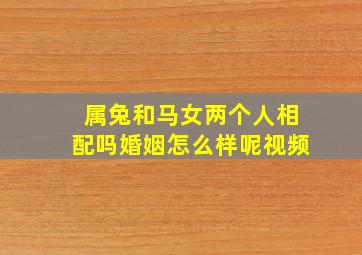 属兔和马女两个人相配吗婚姻怎么样呢视频