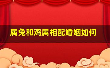 属兔和鸡属相配婚姻如何