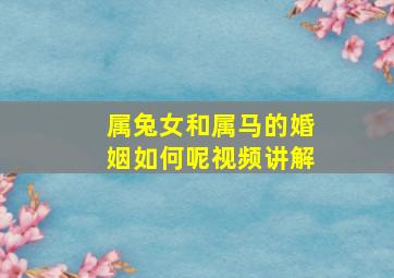 属兔女和属马的婚姻如何呢视频讲解