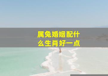 属兔婚姻配什么生肖好一点