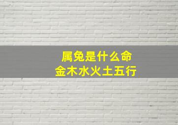 属兔是什么命金木水火土五行