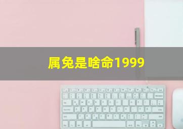 属兔是啥命1999