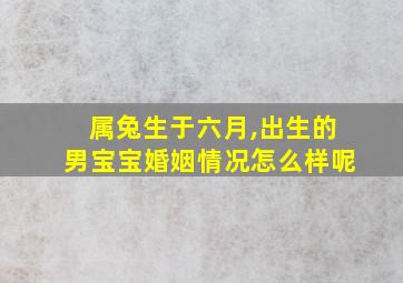 属兔生于六月,出生的男宝宝婚姻情况怎么样呢