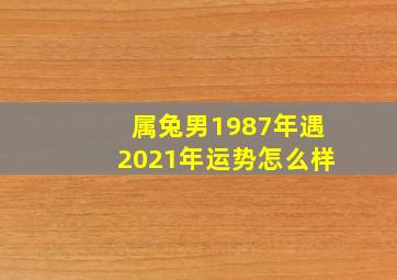 属兔男1987年遇2021年运势怎么样