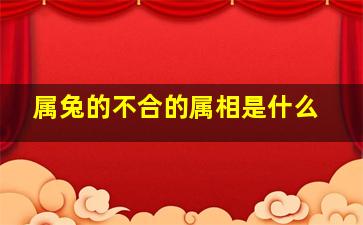 属兔的不合的属相是什么