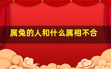 属兔的人和什么属相不合