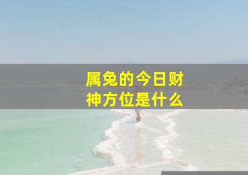 属兔的今日财神方位是什么