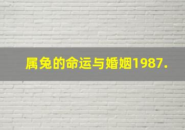 属兔的命运与婚姻1987.