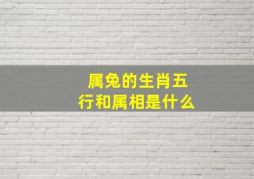 属兔的生肖五行和属相是什么