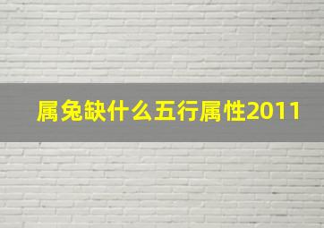 属兔缺什么五行属性2011