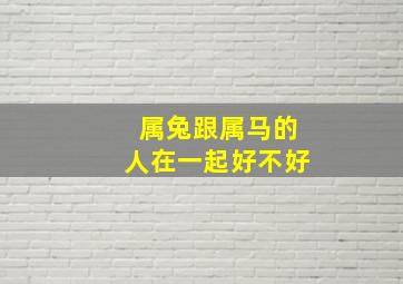 属兔跟属马的人在一起好不好